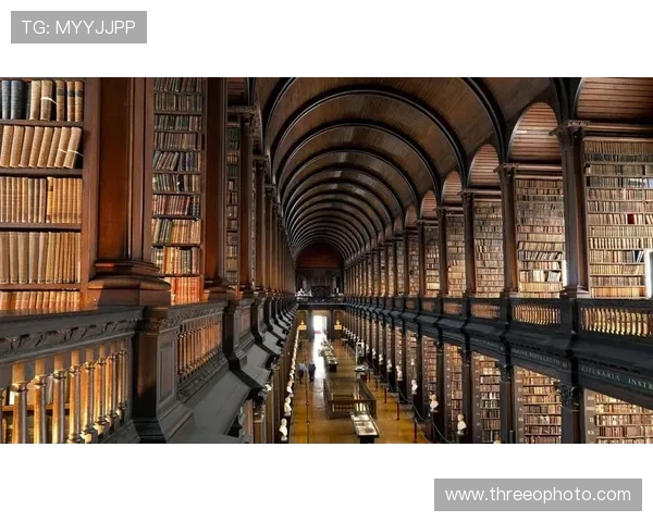 居莱尔对比亚马尔：未来潜力与发展路径差异何在